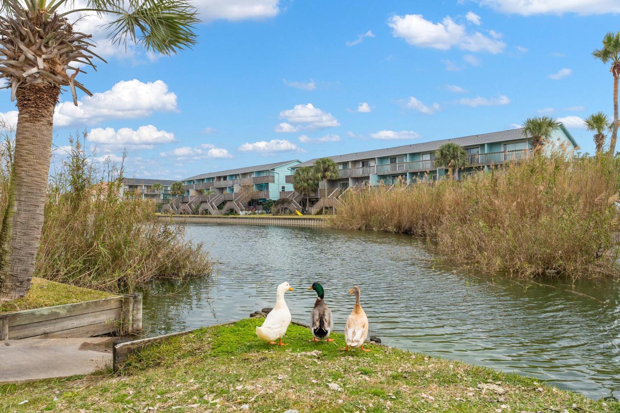 Villas On The Gulf L1- Ocean View Steps To Beach! Pensacola Beach Luaran gambar